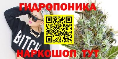 спиды Пугачёв