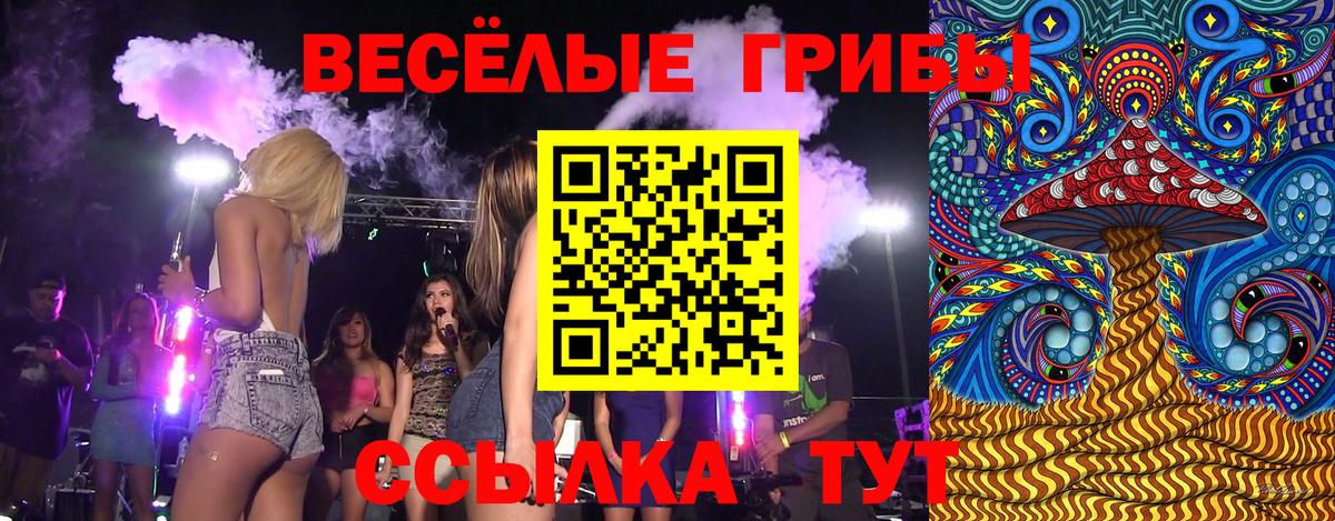 Галлюциногенные грибы мицелий Петрозаводск